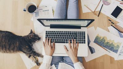 A top-down view of a person sitting on a wooden floor with a laptop on their lap, working surrounded by business charts, office supplies, a coffee mug, and a tabby cat lying beside them.
