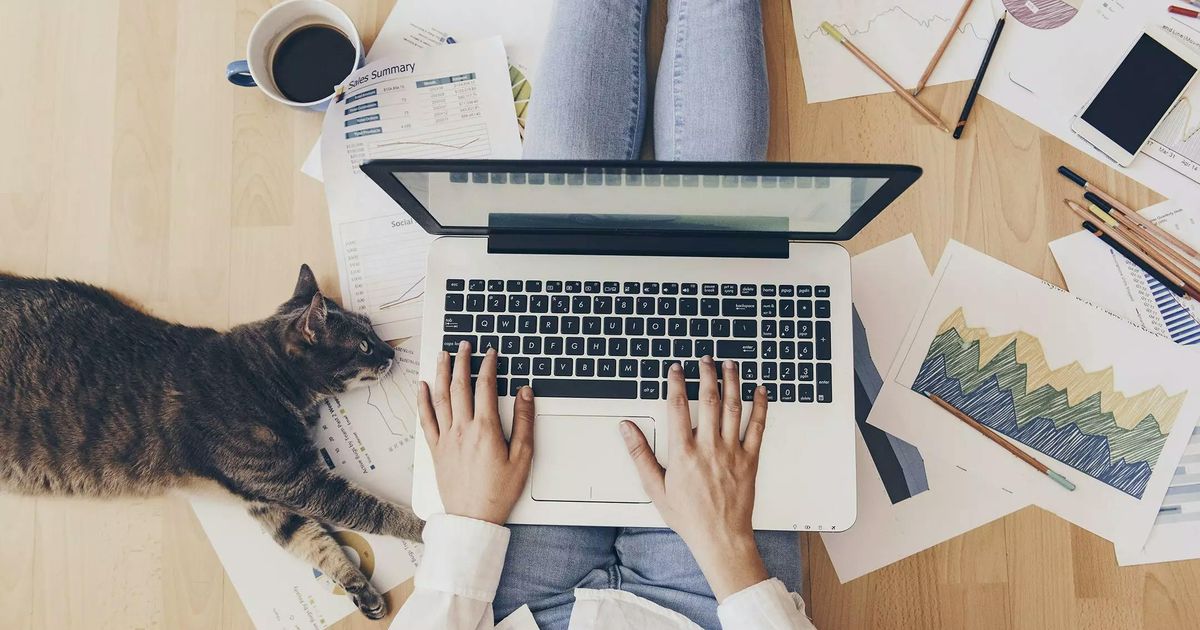 A top-down view of a person sitting on a wooden floor with a laptop on their lap, working surrounded by business charts, office supplies, a coffee mug, and a tabby cat lying beside them.