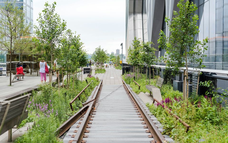 The High Line walkway with greenery, rail tracks and modern buildings