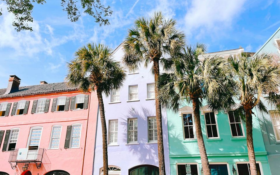 Colorful Charleston houses with palm trees on a sunny day