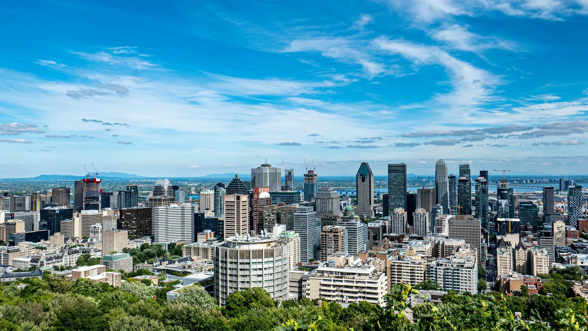 Montreal's downtown skyline seen from the Mount Royal lookout on a clear summer day