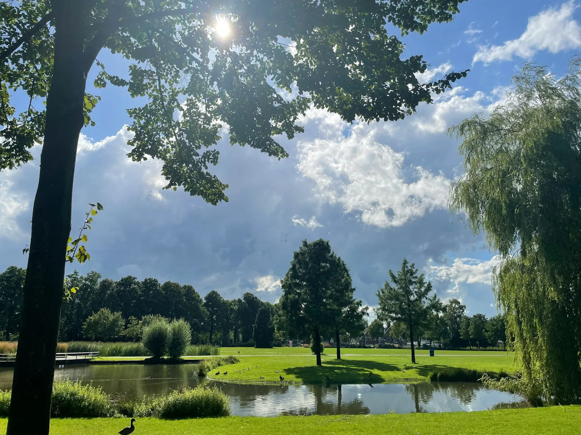 Een groen park met vijver in Enschede