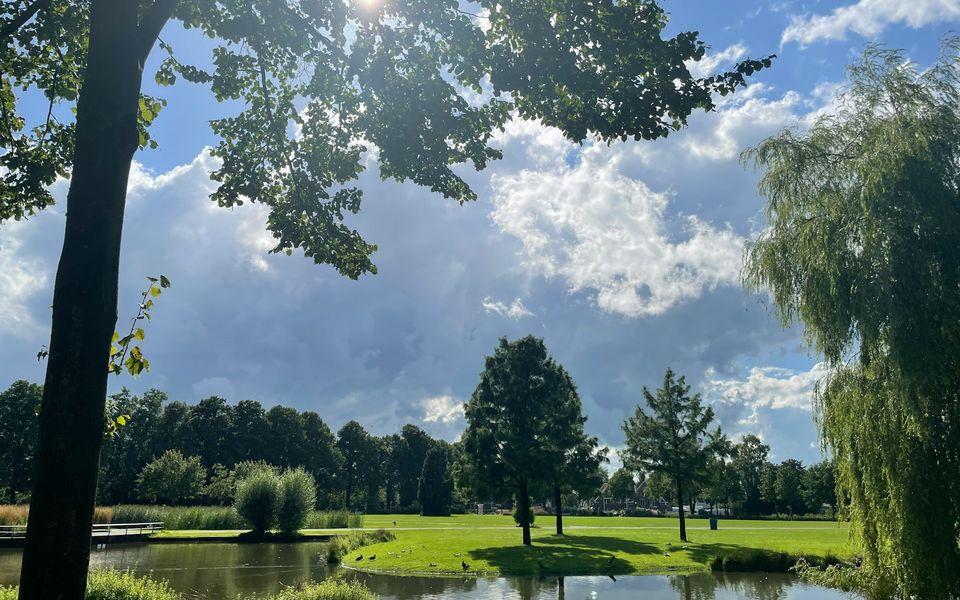 Een groen park met vijver in Enschede